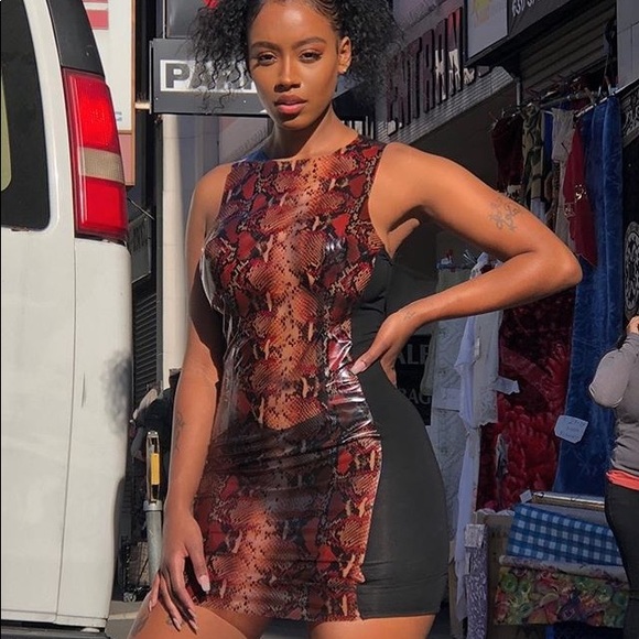 Bonnie Dress - Picture 5 of 5